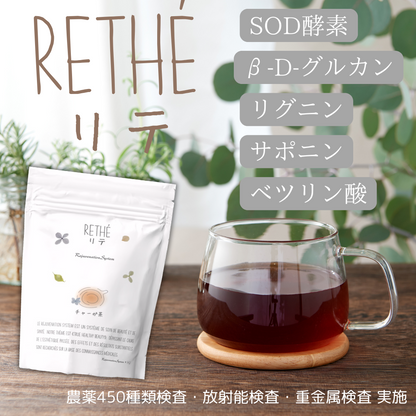 【リジュベネーション】チャーガ